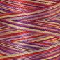 Preview: Amann Mettler Poly Sheen Multi Wild Flowers 200m